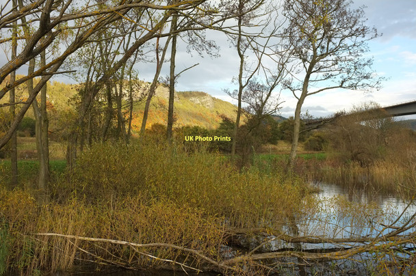 Photo 6"x4" Wetland at Willowgate Perth\/NO1123 c2011