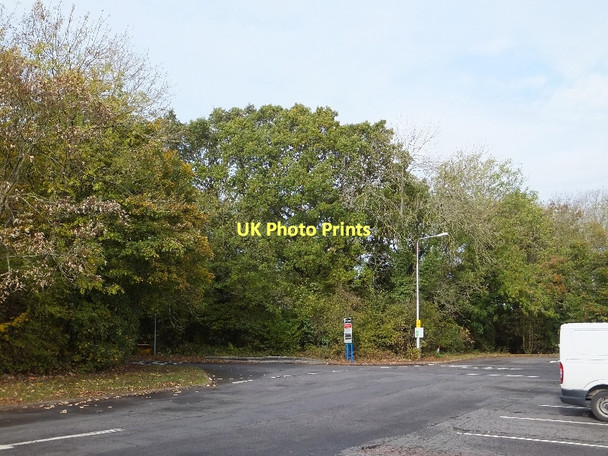 Photo 6"x4" The east end of Leigh Delamere service area car park Leigh Delamere c2011