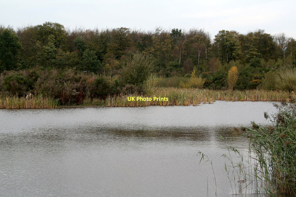 Photo 6"x4" Pond near Papplewick Pumping Station Blidworth Dale c2011
