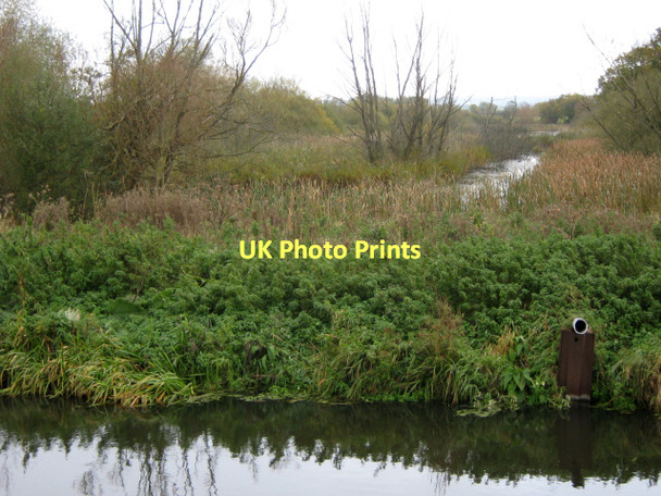 Photo 6"x4" The Glastonbury Canal and Meare Heath Ashcott Corner c2011