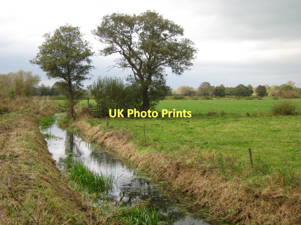 Photo 6"x4" Heath Rhyne, Meare Heath Meare c2011 P1