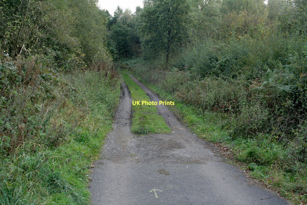 Photo 6"x4" Trackway to Burntstump Blidworth Dale c2011