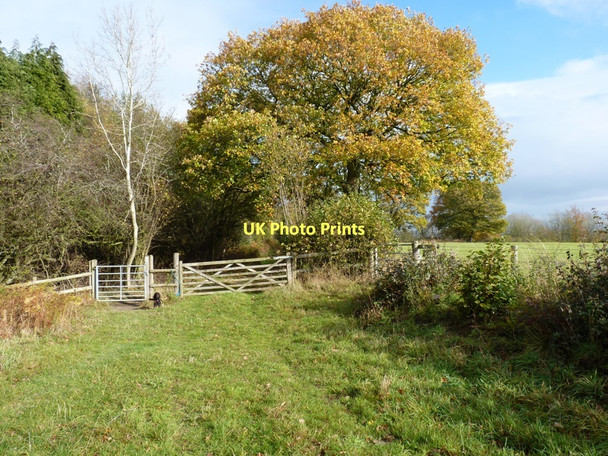 Photo 6"x4" The Jack Mytton Way emerging from the woods Eaton\/SO5090 c2011