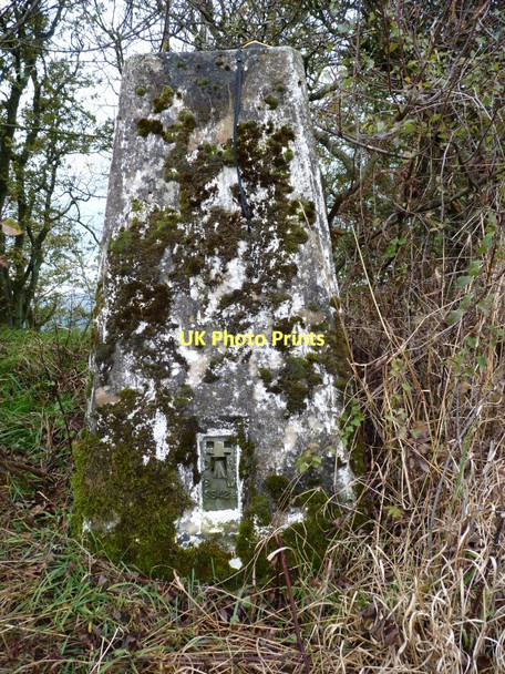 Photo 6"x4" Middlehope Hill trig, close up Little London\/SO5088 c2011