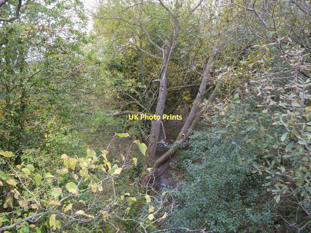 Photo 6"x4" Staverton, River Leam Staverton\/SP5361 c2011