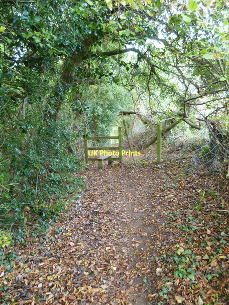 Photo 6"x4" Orange Way in Devon and Torbay (148) Gappah c2011
