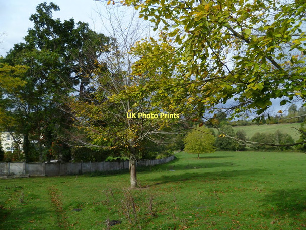 Photo 6"x4" Orange Way in Devon and Torbay (153) Chudleigh c2011