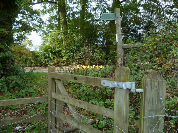 Photo 6"x4" Orange Way in Devon and Torbay (155) Chudleigh c2011