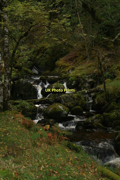 Photo 6"x4" Allt Bhan by the forestry path Clunes c2011