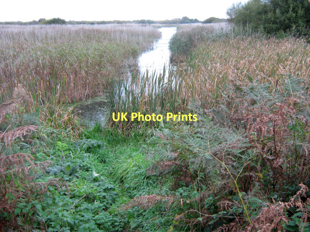 Photo 6"x4" Walton Heath Ashcott Corner c2011