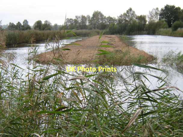 Photo 6"x4" Reed cutting on Walton Heath, Ham Wall Nature Reserve Ashcott Corner c2011
