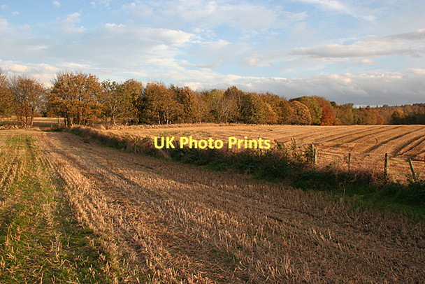 Photo 6"x4" Autumn near Auldearn Auldearn c2011