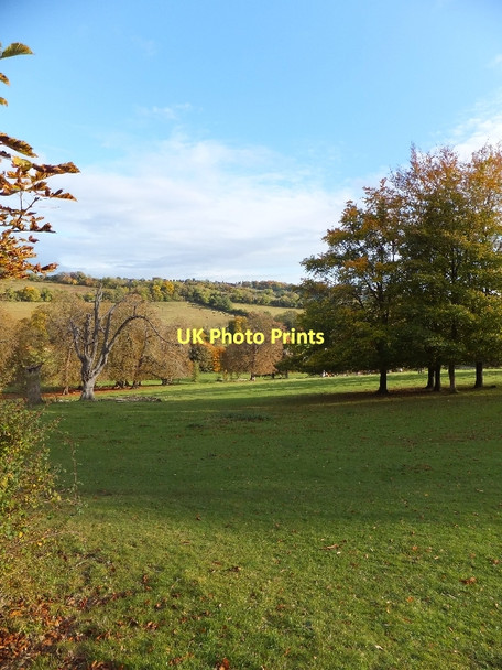 Photo 6"x4" Hughenden Park High Wycombe c2011