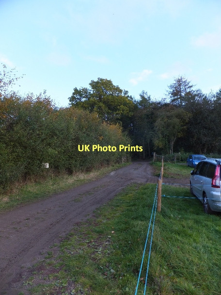 Photo 6"x4" The overflow car-park for Hughenden Manor High Wycombe c2011