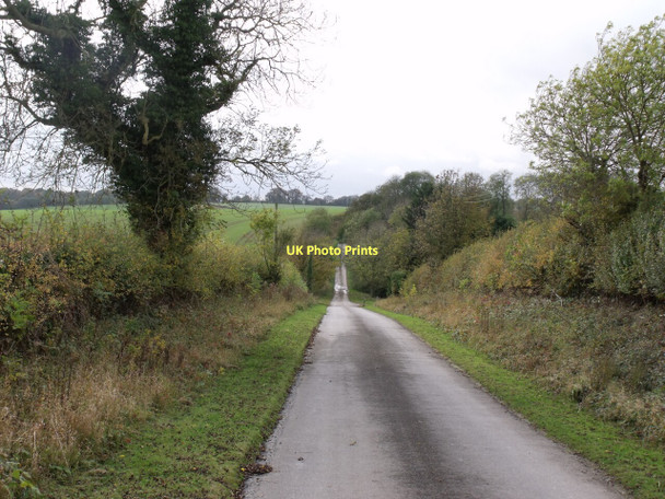 Photo 6"x4" Bassingham Lane Grebby c2011