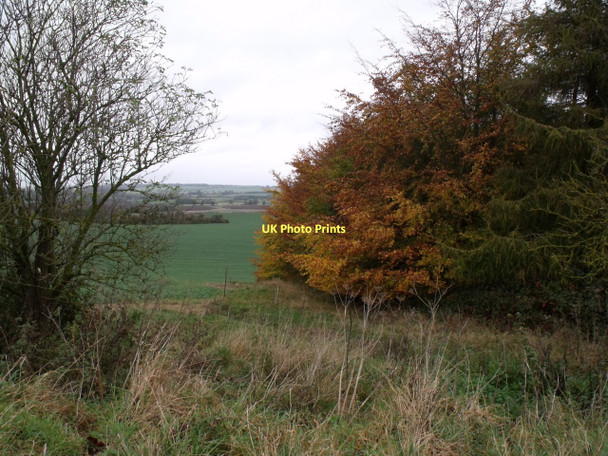 Photo 6"x4" Autumn Colours near Brinkhill Brinkhill c2011