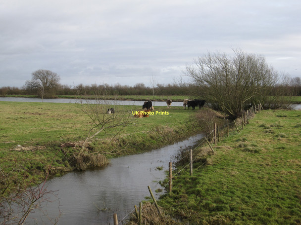 Photo 6"x4" River Great Ouse Church End\/TL3770 c2011