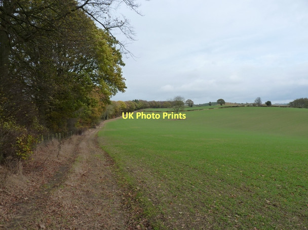 Photo 6"x4" Looking up the Shropshire Way Middlehope c2011