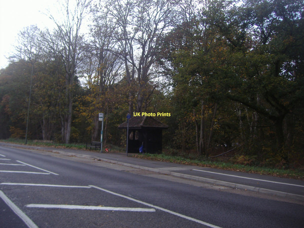Photo 6"x4" Bus stop on Portsmouth Road, Cobham Cobham\/TQ1160 c2011