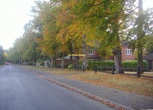 Photo 6"x4" Dartnell Avenue, West Byfleet West Byfleet c2011