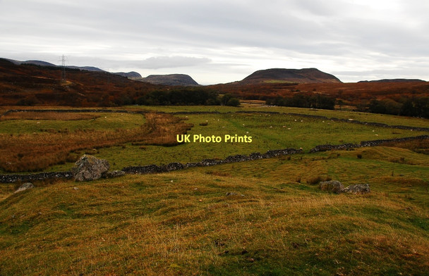 Photo 6"x4" Enclosure near Dalnamain Little Torboll c2011