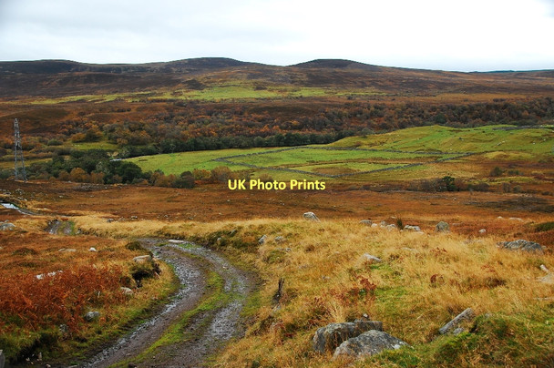 Photo 6"x4" Muddy track Kinnauld c2011