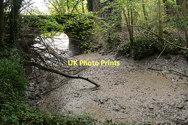 Photo 6"x4" Abbots Leigh: Miles Dock, silted up Ham Green\/ST5375 c2011