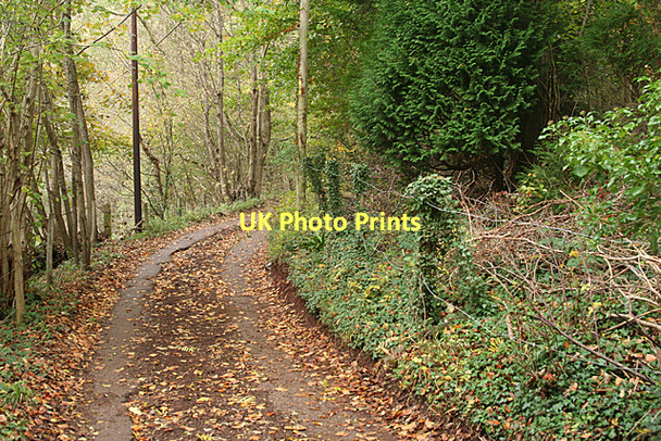 Photo 6"x4" Long Ashton: lane above Kingcot Farm Cambridge Batch c2011