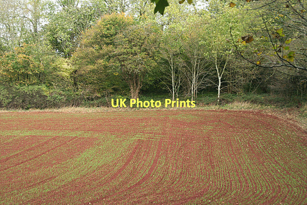 Photo 6"x4" Long Ashton: top of field Cambridge Batch c2011