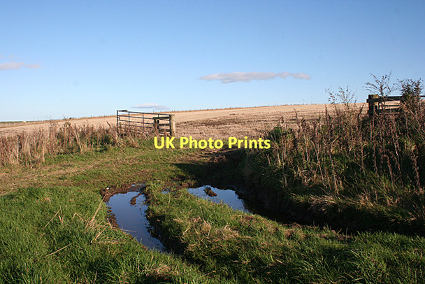 Photo 6"x4" Deep Ruts Blacklaw\/NJ6355 c2011