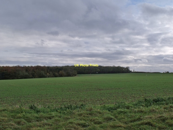 Photo 6"x4" View to Welton High Wood Candlesby c2011