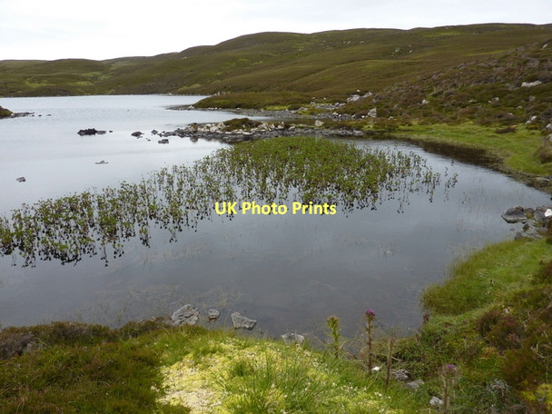 Photo 6"x4" Water lilies on Burga Water Fogrigarth c2011