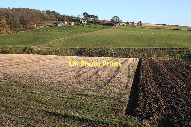 Photo 6"x4" The Brae and North Braeside Aberchirder c2011