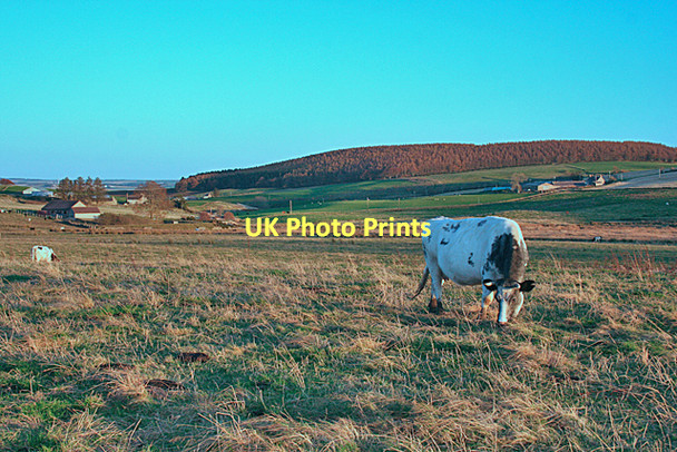 Photo 6"x4" Near Lower Deuchries Blacklaw\/NJ6355 c2011