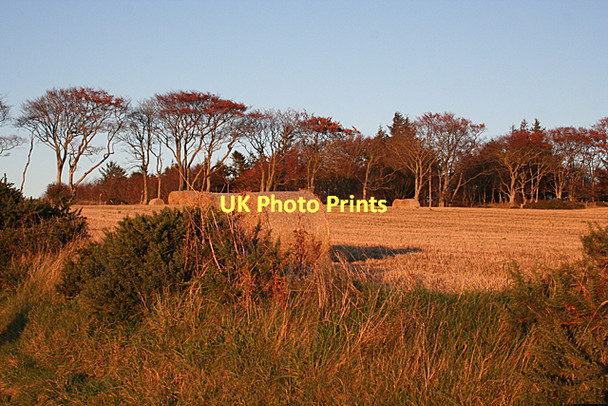 Photo 6"x4" Cowie Hill at Sunset Pole of Itla c2011