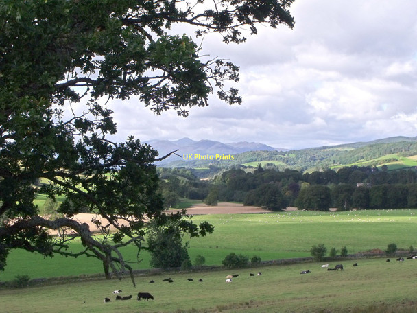 Photo 6"x4" Pastureland at Monzie, Perthshire Gilmerton\/NN8823 c2011