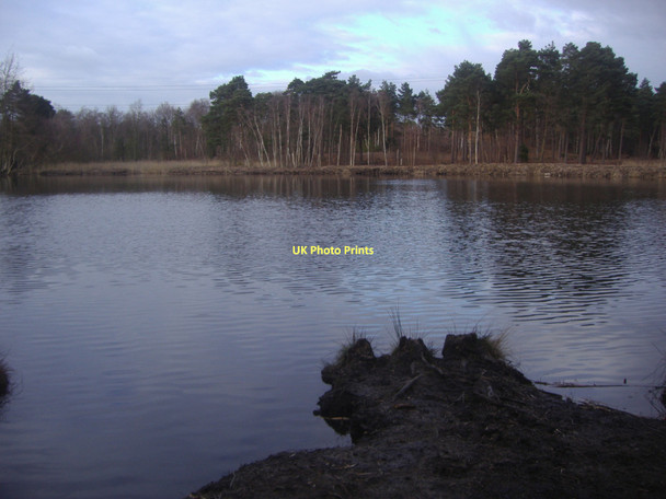 Photo 6"x4" Black Pond, Esher Common Esher c2010