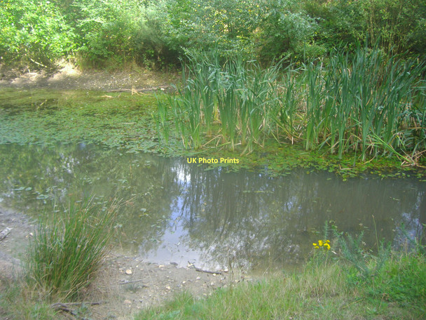 Photo 6"x4" The A3 pond on Esher Common Esher c2011