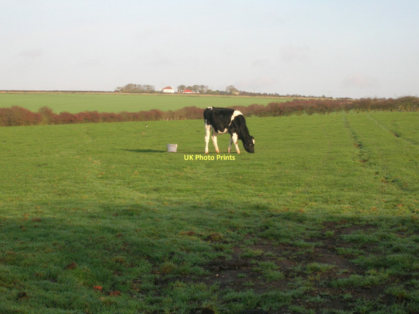 Photo 6"x4" Grazing land, Bridlington Bridlington c2011