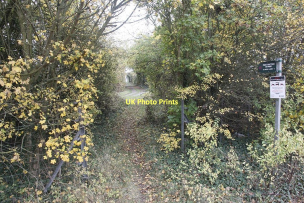 Photo 6"x4" Marsh Lane Wallingford c2011