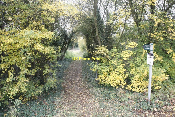 Photo 6"x4" Towards Clacks Lane Wallingford c2011