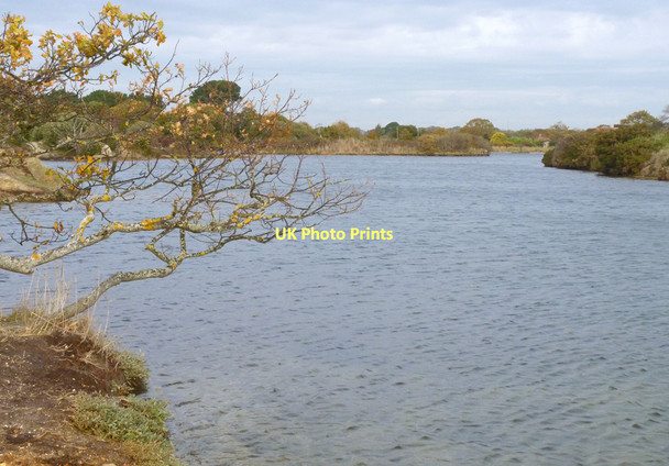 Photo 6"x4" Eight Acre Pond Lymington c2011
