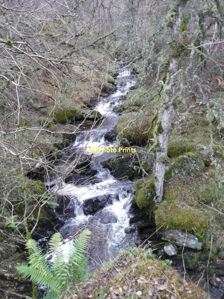 Photo 6"x4" Allt Tarruinchon Allt Tarruinchon c2011