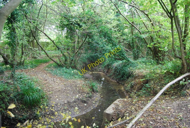 Photo 6"x4" The Pen Stream Tonbridge c2009