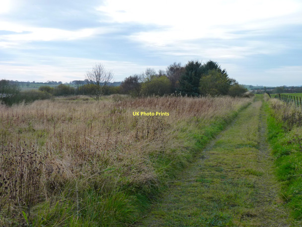 Photo 6"x4" Path beside Cameron Reservoir Denhead\/NO4613 c2011