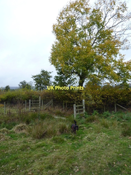 Photo 6"x4" Small footbridge over a stream east of Ticklerton Soudley\/SO4791 c2011