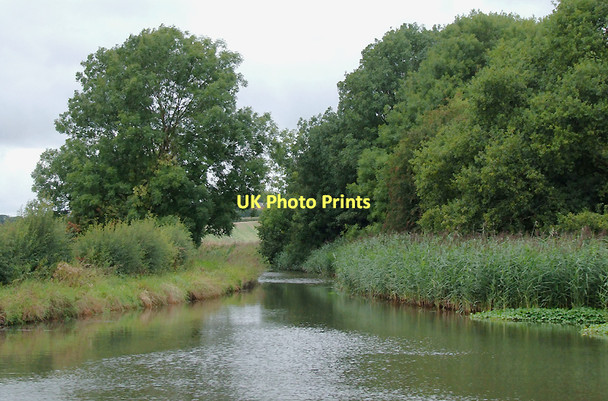 Photo 6"x4" Trent and Mersey Canal north of Acton Bridge, Cheshire Acton Bridge c2011