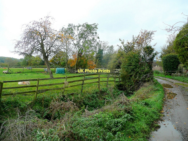 Photo 6"x4" Pasture and lane Northwood Green c2011