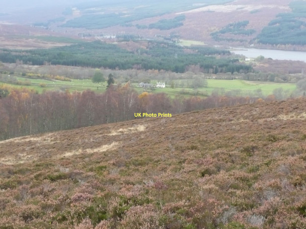 Photo 6"x4" Heather on the western slopes of Dubh Chnochan Tressair c2011