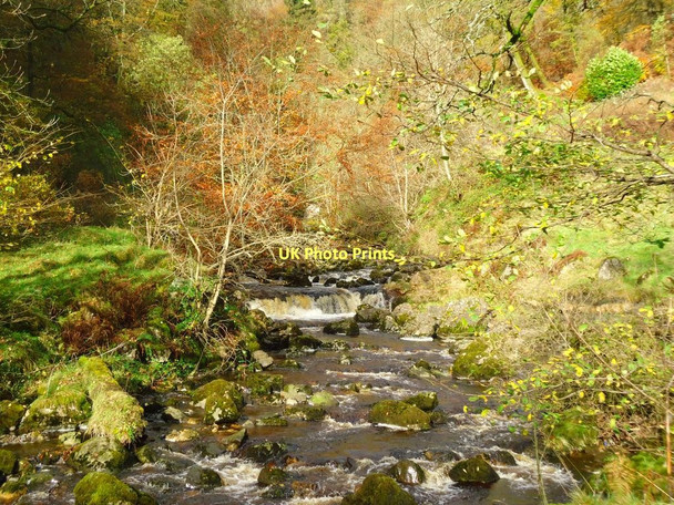 Photo 6"x4" Campsie Glen, Lady's Linn Clachan of Campsie c2011